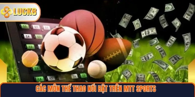 Các môn thể thao nổi bật trên MTT Sports 