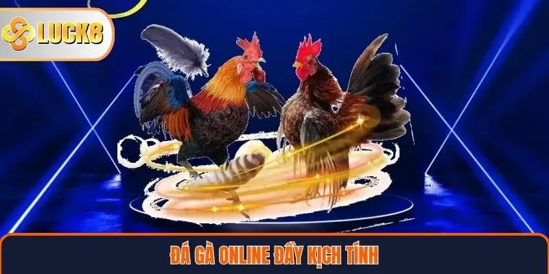 Trang chủ 30 Đá gà online đầy kịch tính